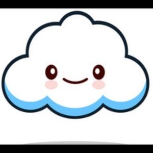 Meet your Posher, Sandy